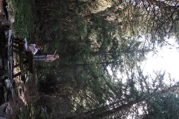 Two people are enjoying a sunny day in a dense forest, with one person sitting on a wooden bench while the other stands and points towards something off-camera